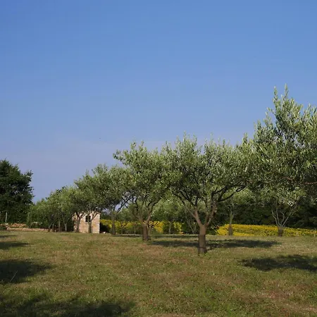 De Foussargues 4 To 16 People Casa vacanze *